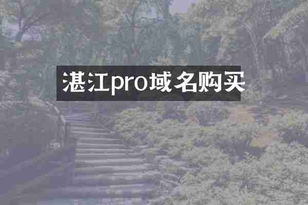 湛江pro域名购买