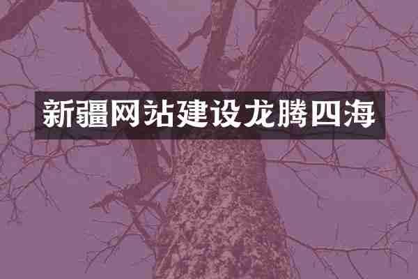 新疆网站建设龙腾四海