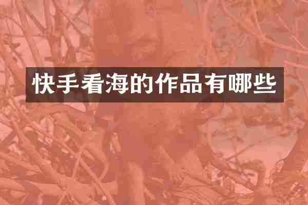 快手看海的作品有哪些