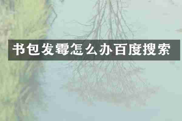 书包发霉怎么办百度搜索