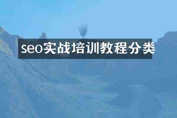 seo实战培训教程分类