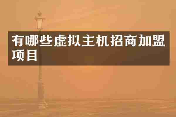 有哪些虚拟主机招商加盟项目