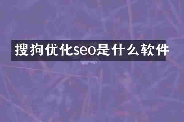 搜狗优化seo是什么软件