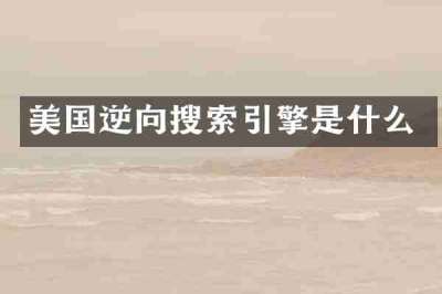 美国逆向搜索引擎是什么