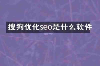 搜狗优化seo是什么软件