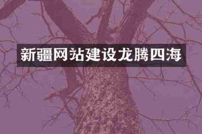 新疆网站建设龙腾四海