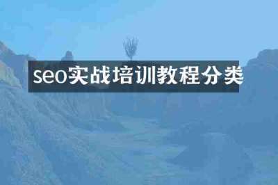 seo实战培训教程分类