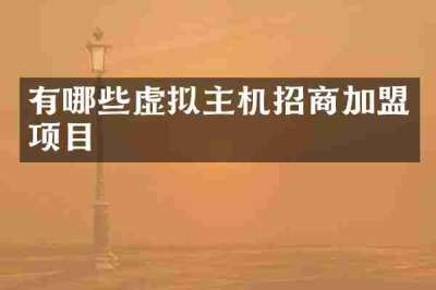 有哪些虚拟主机招商加盟项目