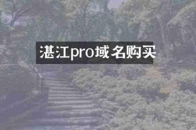 湛江pro域名购买