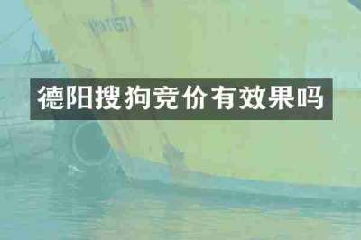 德阳搜狗竞价有效果吗