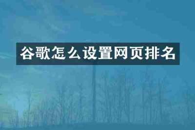 谷歌怎么设置网页排名