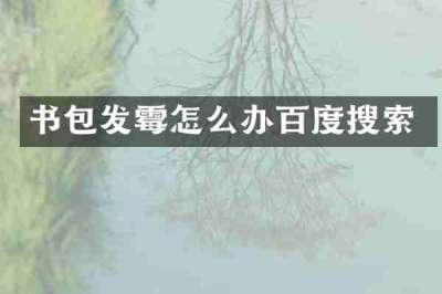 书包发霉怎么办百度搜索