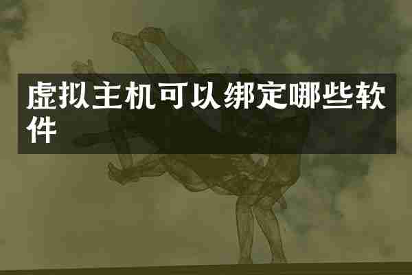 虚拟主机可以绑定哪些软件