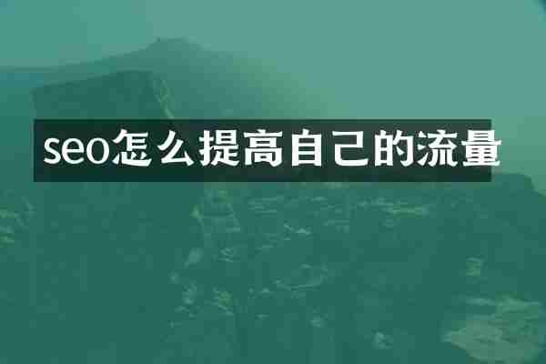 seo怎么提高自己的流量