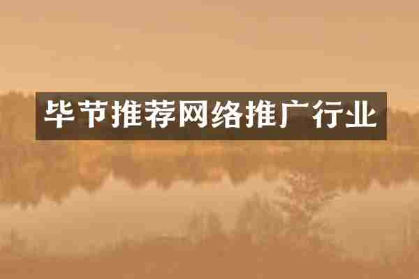 毕节推荐网络推广行业