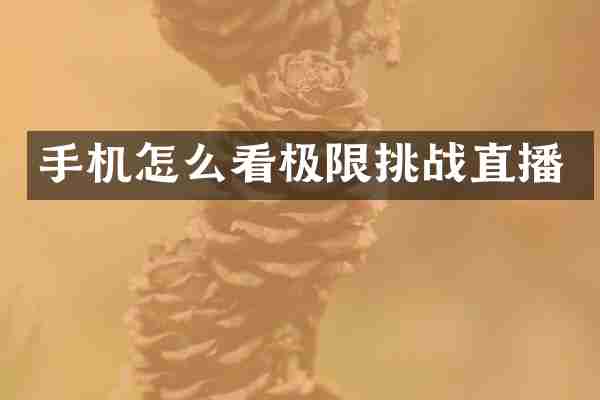 手机怎么看极限挑战直播