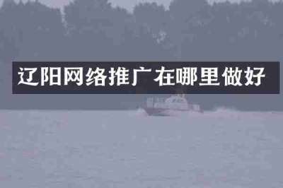 辽阳网络推广在哪里做好