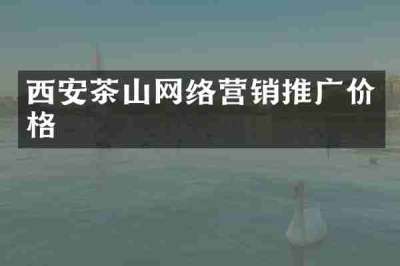 西安茶山网络营销推广价格
