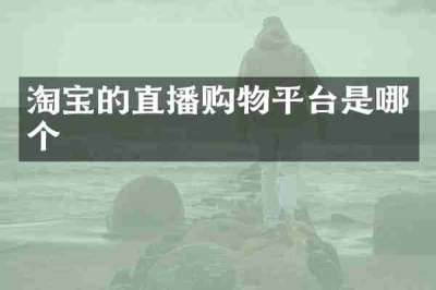 淘宝的直播购物平台是哪个