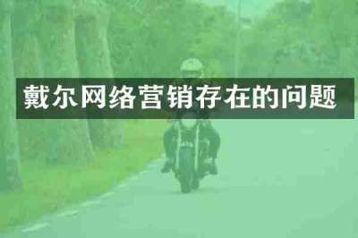 戴尔网络营销存在的问题