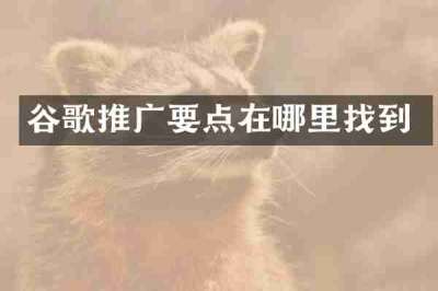 谷歌推广要点在哪里找到