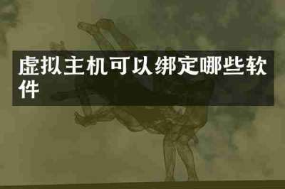 虚拟主机可以绑定哪些软件