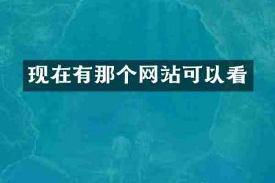 现在有那个网站可以看