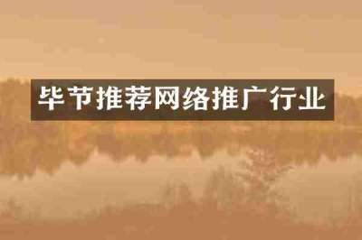 毕节推荐网络推广行业