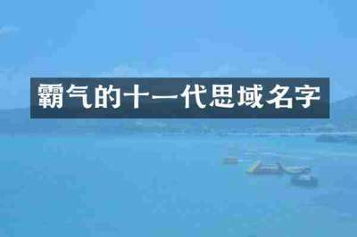 霸气的十一代思域名字
