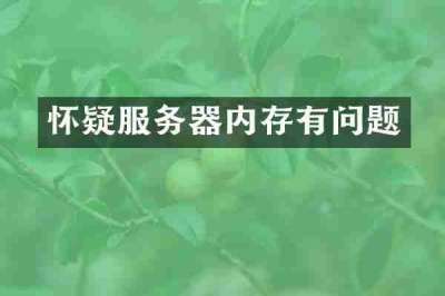 怀疑服务器内存有问题