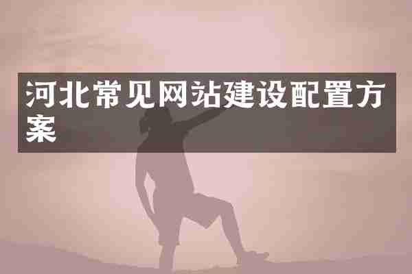 河北常见网站建设配置方案