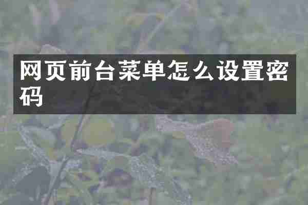 网页前台菜单怎么设置密码