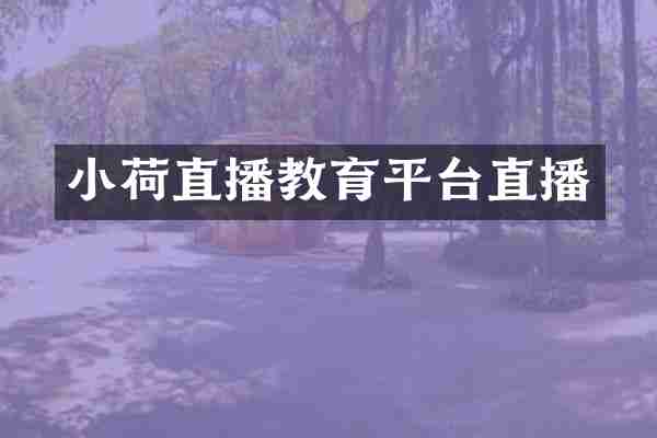 小荷直播教育平台直播