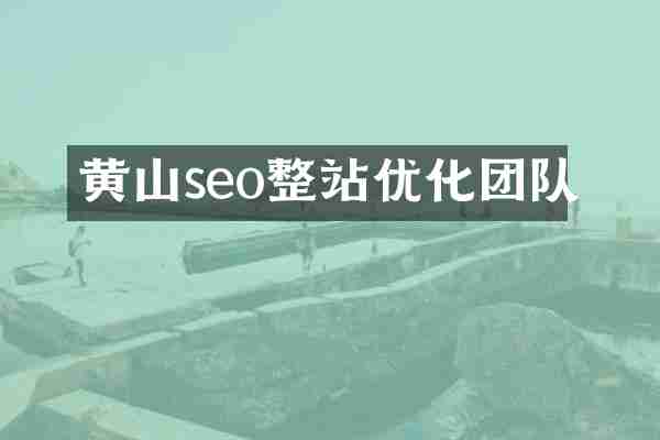 黄山seo整站优化团队