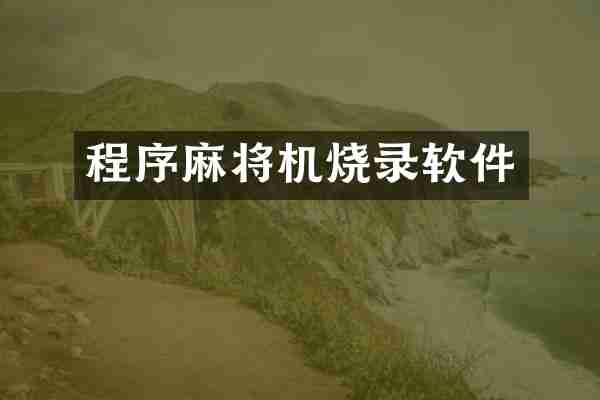 程序麻将机烧录软件
