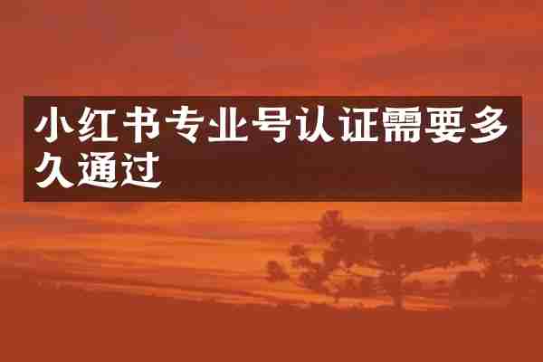 小红书专业号认证需要多久通过