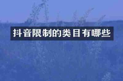 抖音限制的类目有哪些