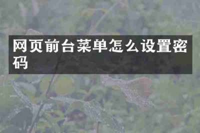网页前台菜单怎么设置密码