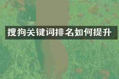 搜狗关键词排名如何提升