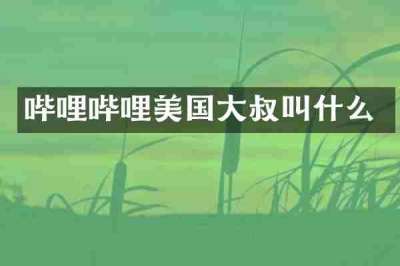 哔哩哔哩美国大叔叫什么