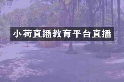 小荷直播教育平台直播