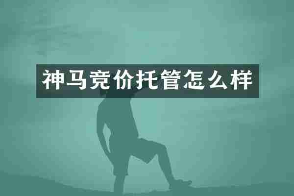 神马竞价托管怎么样