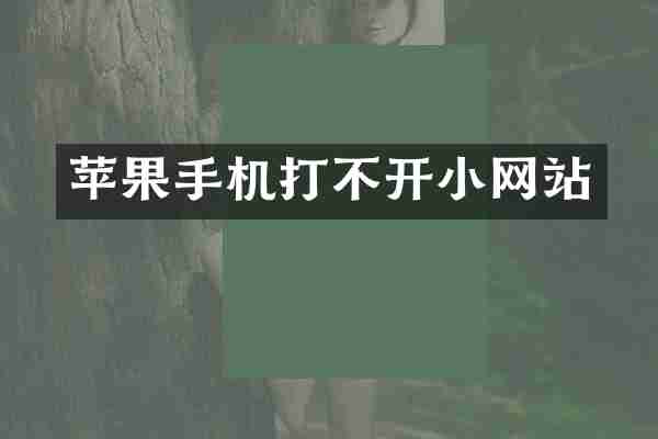 苹果手机打不开小网站
