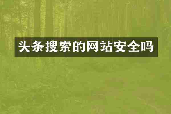 头条搜索的网站安全吗