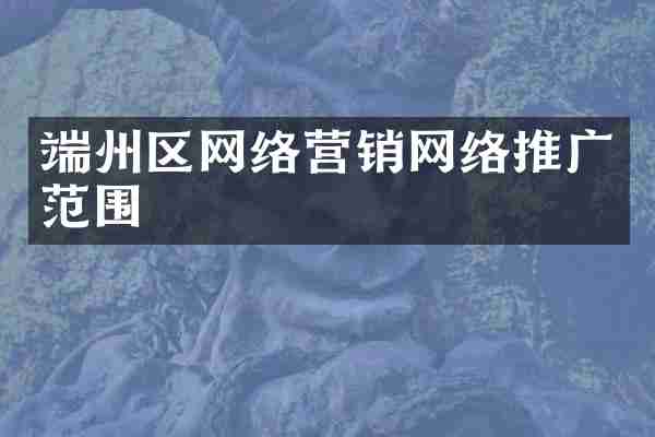 端州区网络营销网络推广范围