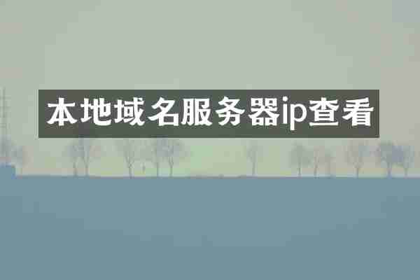 本地域名服务器ip查看