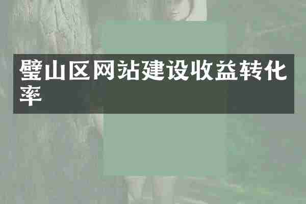 璧山区网站建设收益转化率