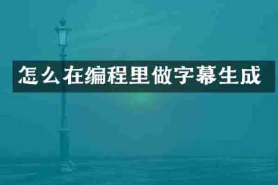 怎么在编程里做字幕生成