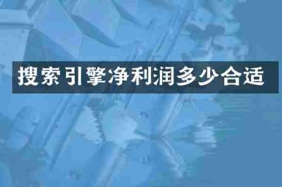 搜索引擎净利润多少合适
