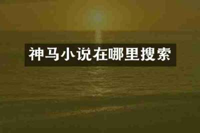 神马小说在哪里搜索